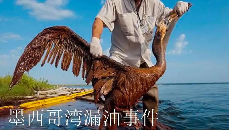 被海上溢油“染黑”的海岸线304AM永利集团环保热解技术助力守护海洋生命线